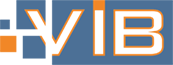 V.i.B. Promotion Logo